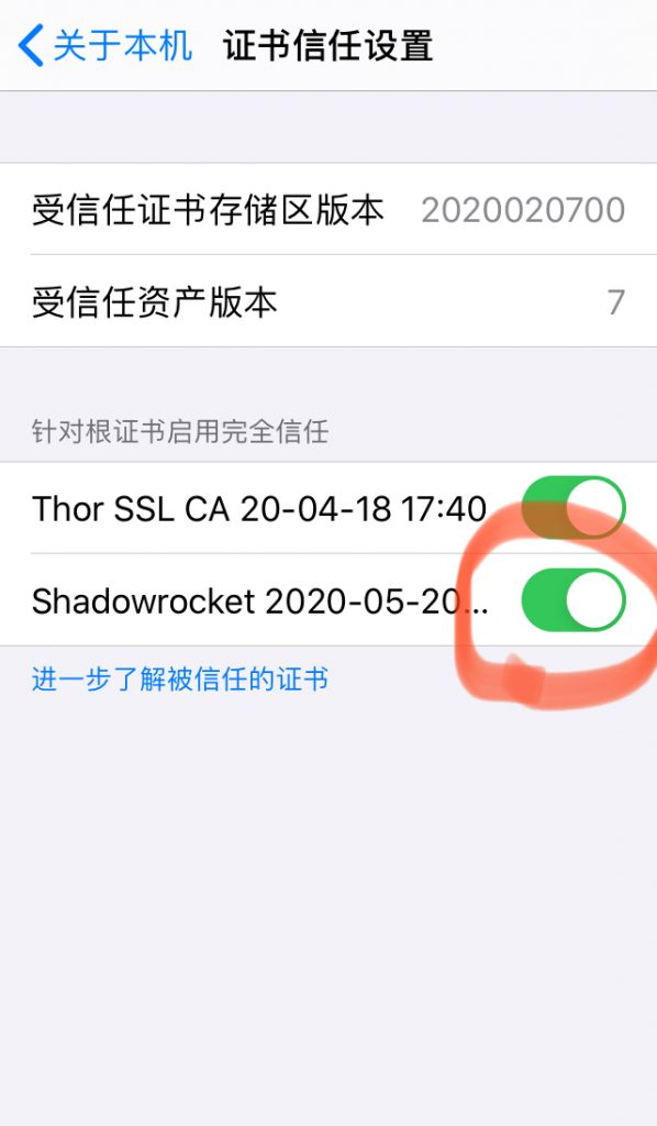 最新Shadowrocket不拔卡使用TikTok解锁区域限制教程